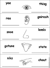 Unscramble Five Senses Words