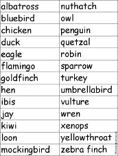 A Bird for Each Letter