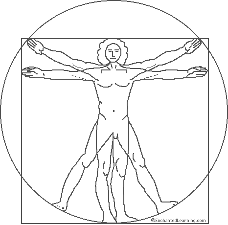 da Vinci: Proportions