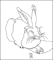 Durer, Young Hare: Coloring Page - EnchantedLearning.com