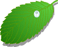 Search result: 'Butterfly Egg Anatomy'