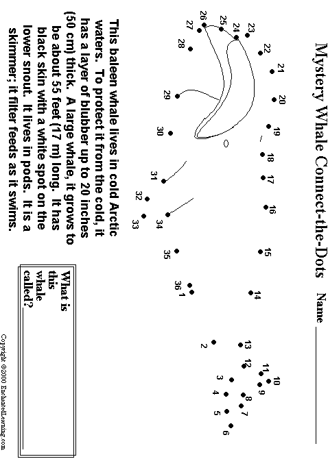 Search result: 'Bowhead Whale Connect-the-Dots'