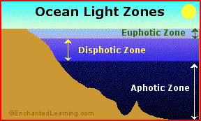 Sunlit Ocean (Euphotic) Zone 