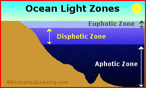 Ocean Life Zones Chart