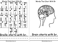 Search result: 'Words That Start With Br Book, A Printable Book: Braille, Brain'
