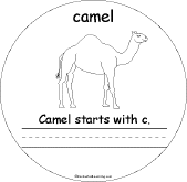 Camel