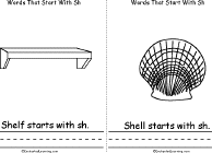 Shelf, Shell