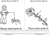 Thorax, Thorn