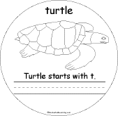 Turtle