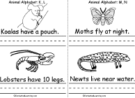 Search result: 'Animal Alphabet Book, A Printable Book: Koala, Lobster, Moth, Newt'