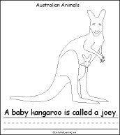 Search result: 'Australian Animals, A Printable Book: Kangaroo Page'