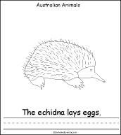 Search result: 'Australian Animals, A Printable Book: Echidna Page'
