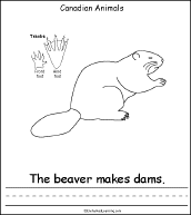 Search result: 'Canadian Animals, A Printable Book: Beaver Page'