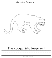 Search result: 'Canadian Animals, A Printable Book: Cougar Page'