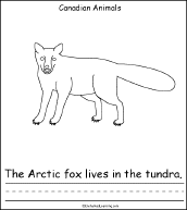 Search result: 'Canadian Animals, A Printable Book: Arctic Fox Page'