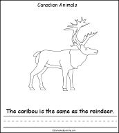 Search result: 'Canadian Animals, A Printable Book: Caribou Page'