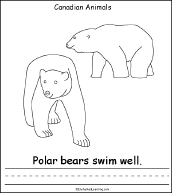 Polar Bear