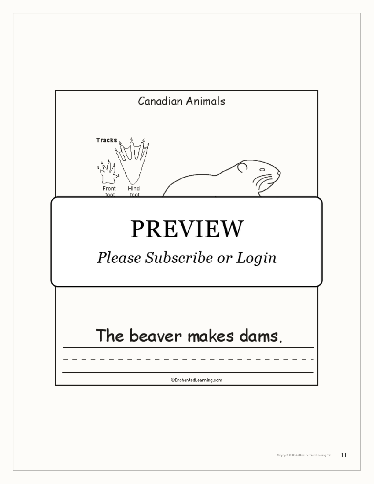 Canadian Animals: Printable Book interactive printout page 11