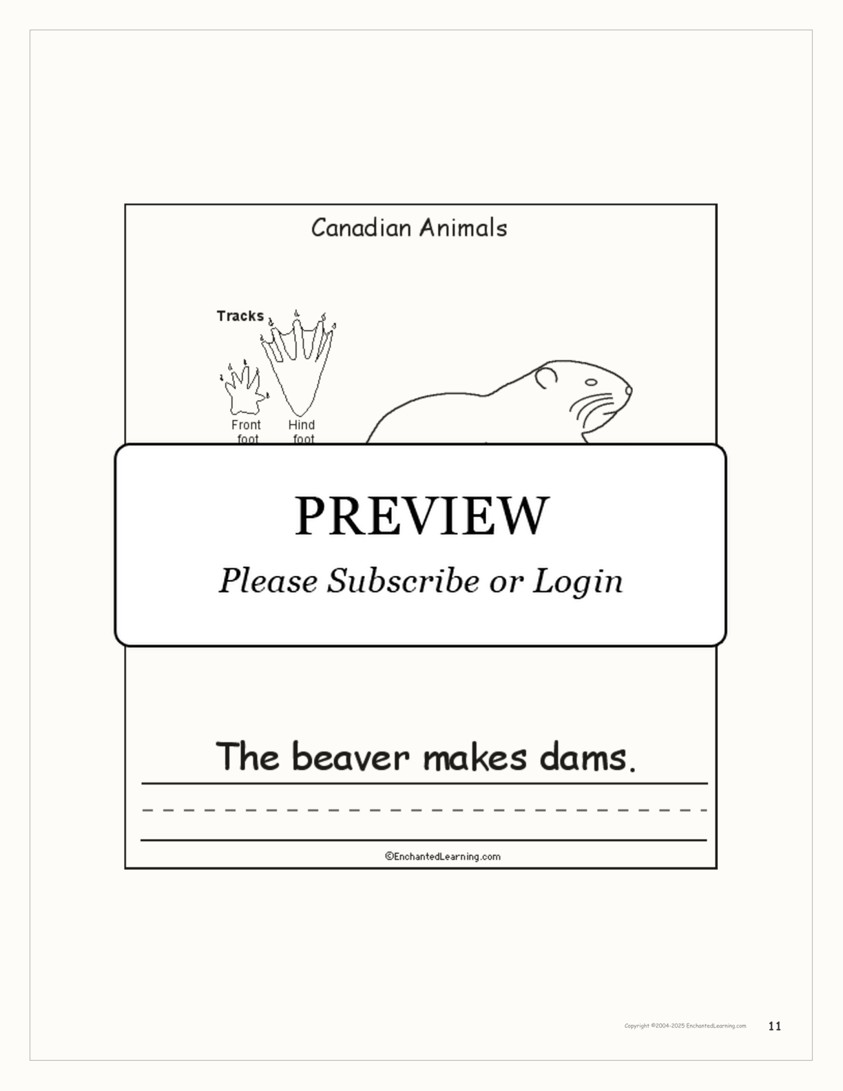 Canadian Animals: Printable Book interactive printout page 11