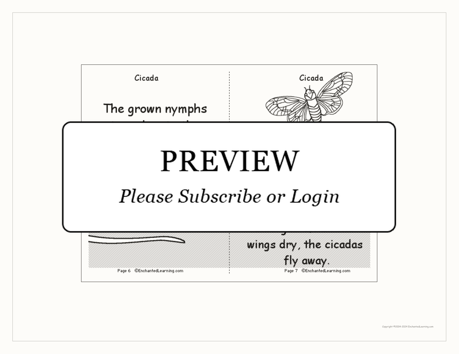 Cicada Printable Book interactive printout page 4