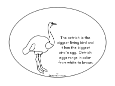 Search result: 'My Egg Book, A Printable Book: Ostrich'