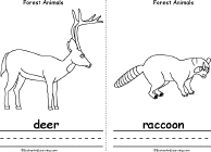 Search result: 'Forest Animals Book, A Printable Book: Deer, Raccoon'