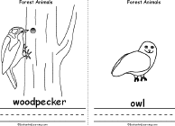 Search result: 'Forest Animals Book, A Printable Book: Woodpecker, Owl'