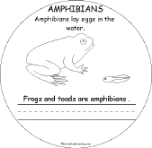 Search result: 'Animal Groups Early Reader Book: Amphibians Page'