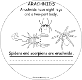 Search result: 'Animal Groups Early Reader Book: Arachnids Page'