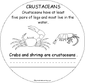 Search result: 'Animal Groups Early Reader Book: Crustaceans Page'