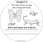 Search result: 'Animal Groups Early Reader Book: Insects Page'