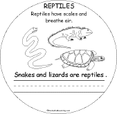 Search result: 'Animal Groups Early Reader Book: Reptiles Page'