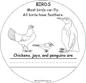 Birds