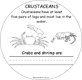 Crustaceans
