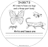 insects