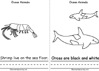 Search result: 'Ocean Animals Book, A Printable Book: Shrimp, Orca'
