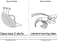 Search result: 'Ocean Animals Book, A Printable Book: Clam, Lobster'