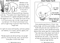 Search result: 'Giant Panda Book, A Printable Book: Diet, Teeth'