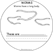 Search result: 'These are Animals: A Book on Animal Groups: Worms'