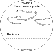 Worms