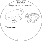 Frogs