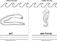 Search result: 'Under the Sea Book, A Printable Book: Eel, Sea Horse'
