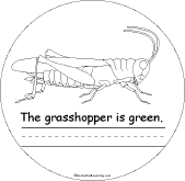 Search result: 'Colors Book: Grasshopper'