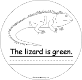 Search result: 'Green Shape Book: Lizard'