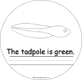 tadpole