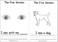 Search result: 'The Five Senses, A Printable Book: Sense of Sight Page'
