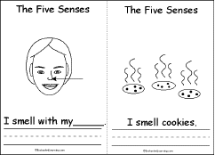 Search result: 'The Five Senses, A Printable Book: Sense of Smell Page'