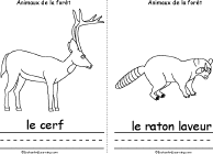 Search result: 'Animaux de la For&#234;t/Forest Animals Book, A Printable Book in French: cerf, raton laveur'