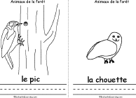 Woodpecker, Owl