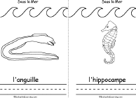Search result: 'Sous la mer, A Printable Book in French: Eel, Sea Horse'